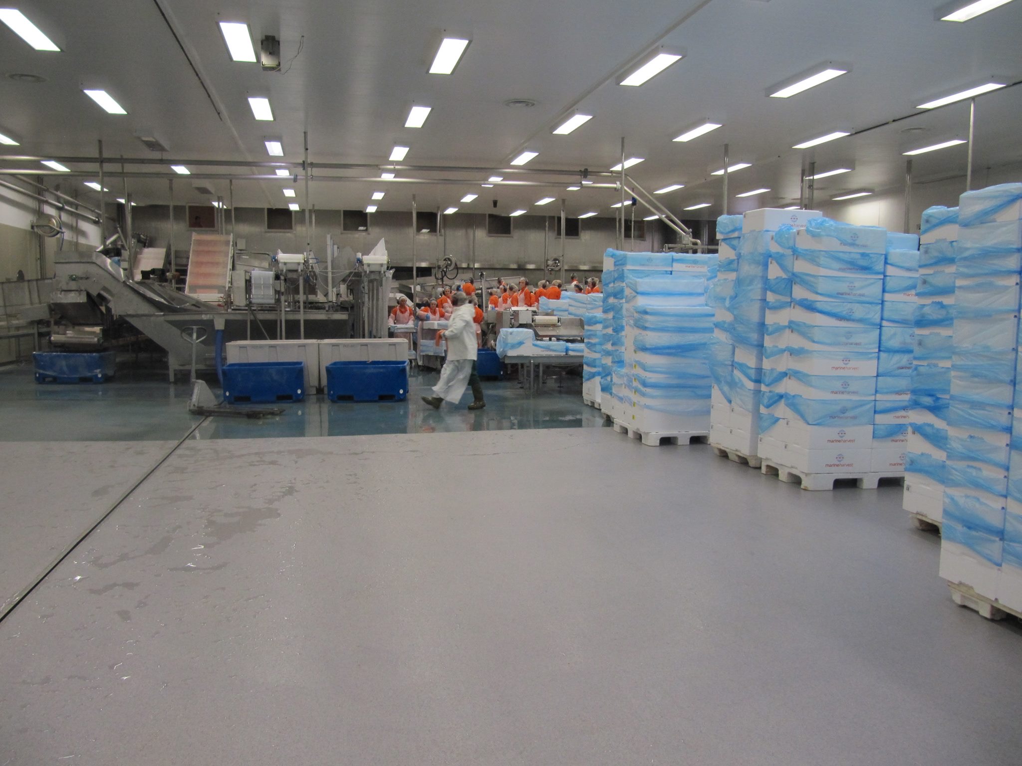 Fish-sales-and-production-2