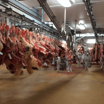 Food-production-2